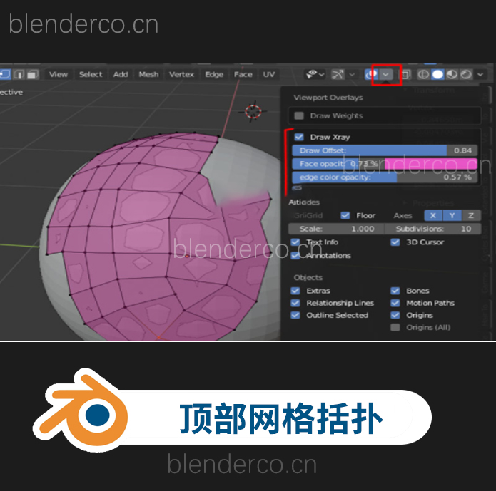 Blender模型顶部网格绘制插件 Draw Xray v3.4 最新版4.1.0-cg男孩